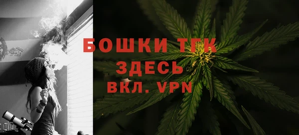 MESCALINE Аркадак