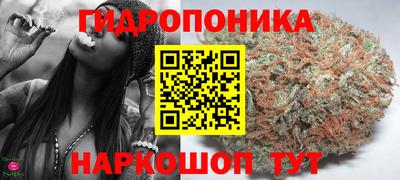 соль ск Обнинск