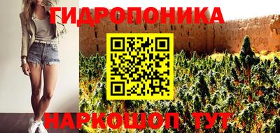 ПСИЛОЦИБИНОВЫЕ ГРИБЫ Обь