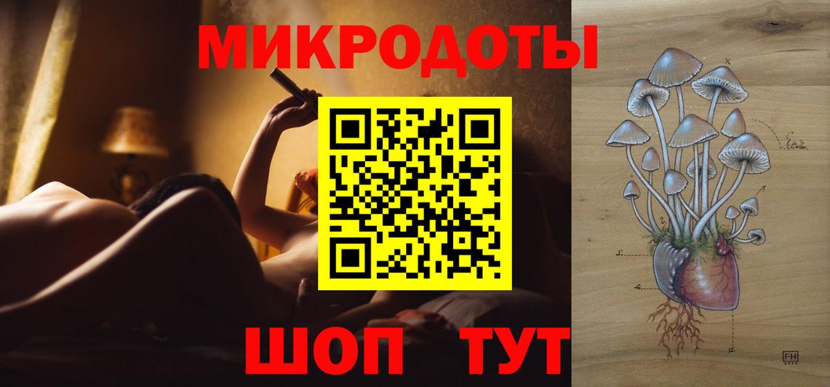 Галлюциногенные грибы Cubensis Новороссийск