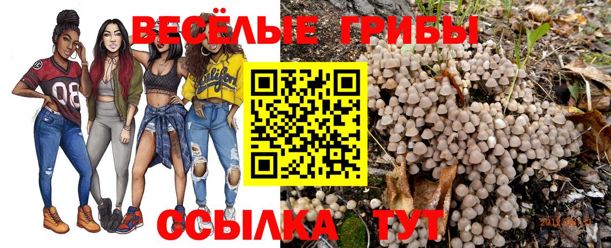 Псилоцибиновые грибы Psilocybine cubensis  Вход с VPN  Новороссийск  Псилоцибиновые грибы Cubensis 