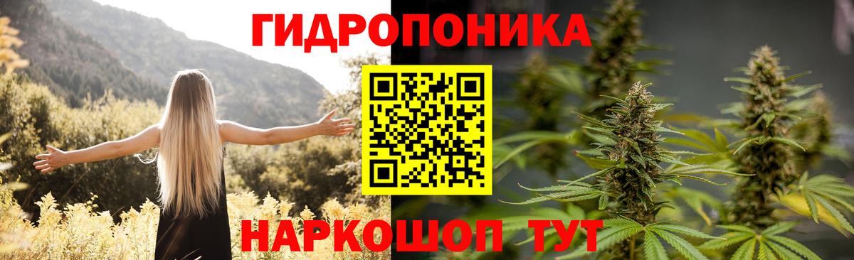 Конопля планчик Новороссийск